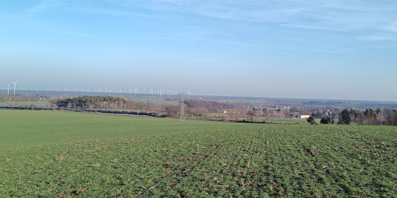 Heideblick: Umgebung, Foto: Gemeinde Heideblick