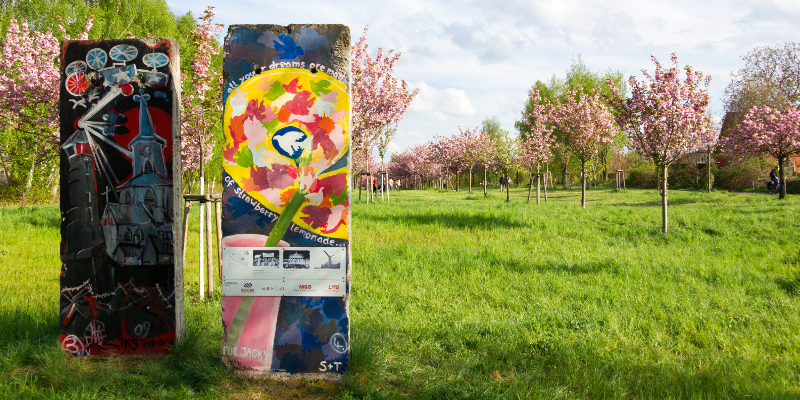 Teltow: Kirschblütenallee auf dem ehemaligen Grenzstreifen