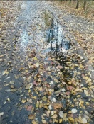 Foto: Unzumutbare Wegezustände am Seeufer zwischen Stadthafen und Gaumensegel 