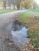 Foto: Bankettschäden und Staunässe am südlichen Elsterdamm in Höhe Stadthafen-Parkplatz 