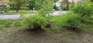 Foto: Steine  
