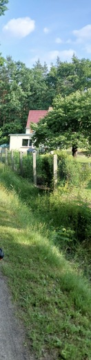 Foto: Entwässerungsgraben der L49 