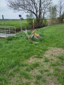 Foto: Neben der sog. Fischerbrücke  