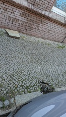 Foto: Boardstein abgebrochen  