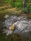 Foto: Bauschutt im Wald 