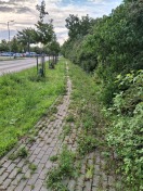 Foto: Zu dem begrünten wegen... 