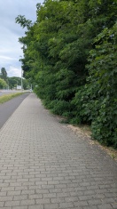 Foto: Wildwuchs 