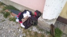 Foto: Wilde Deponie 