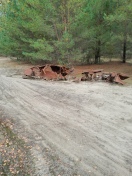 Ludwigsfelde: Autowrack im Wald  Foto: Autowrack im Wald