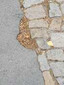 Glienicke/Nordbahn: Schlagloch  Foto: Schlagloch