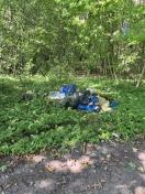 Foto: Müllentsorgung Wald nahe Kiesgrube Ladeburg 