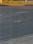 Foto: Straßenverunreinigung 