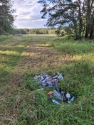 Foto: Illegale Glasmüllentsorgung Nahmitz 