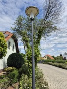 Foto: Großer Ast auf der Straße 