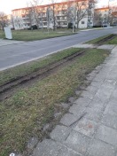 Foto: Grünfläche beschädigt  