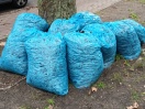 Foto: Blaue Säcke mit Laub gefüllt stehen an der Straße bei den Bäumen  