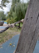 Foto: Schrauben locker an den Leitern, keine unmittelbare Gefahr 