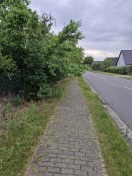 Foto: Tiefhängende Äste 