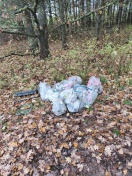 Foto: Müllablagerung nahe Rüdnitzer Chaussee (1. Hinweis) 