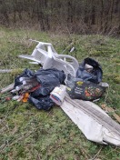 Foto: Illegaler Müll im Waldgebiet 