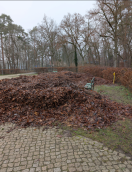 Foto: Öffentliche Sehenswürdigkeit als Kompost missbraucht 