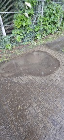 Foto: Regeneinlauf reinigen  