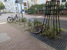 Foto: Kaputtes Fahrrad  