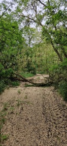 Foto: Neuer Eintrag 