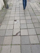 Foto: Sturzgefahr Pflaster Ecke Vereinsstraße defekt  