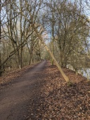 Foto: Baum umgestürzt 