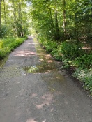 Foto: Quellwasser spült die Straße aus 