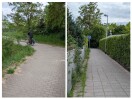 Foto: Radweg zum silokanal und Eisenbahnbrücke Lichtraumprofil zugewachsen  