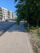 Foto: Lichtraumprofil zugewachsen Bauhofstraße Ecke Hausmannstraße  
