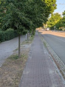 Foto: Lichtraumprofil zugewachsen Radweg und Gehweg  