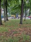 Foto: Parken auf Grünstreifen  
