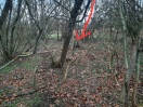 Foto: Müll im Wald Am großen Spreewehr 