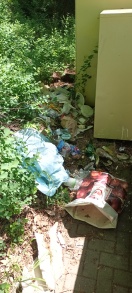 Foto: Wilde Müllablagerung hinter Glascontainern 