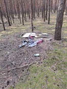 Foto: Müll im Wald  