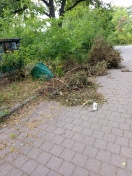 Foto: Wilde Deponie  
