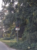 Foto: Zugewuchertes Verkehrsschild 