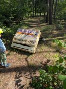 Foto: Alter Tabak-Automat im Wald  