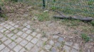 Foto: Parkplatz Pflege und Instandhaltung Grilldamm Strand nötig  