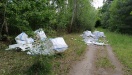 Foto: Müll im Wald  