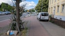 Foto: Müll liegt auf Bauminsel  