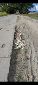 Foto: Bauschutt von Einbau neue Fenster illegal entsorgt 