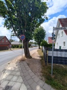 Foto: Gehweg Erneuerung Alberichstraße  