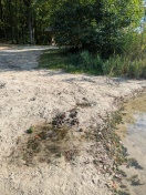 Foto: Gohlitzsee 
