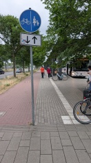 Foto: ZOB Übergang Hauptbahnhof - Lichtraumprofil Rad/Gehwegsbereich zugewachsen  