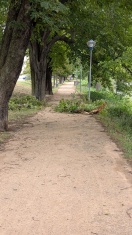 Foto: Parallel Kanalstraße bitte um Beräumung Gehweg  