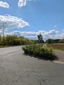 Foto: Eingeschränkte Sicht 